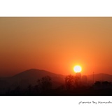 dailyPhoto7